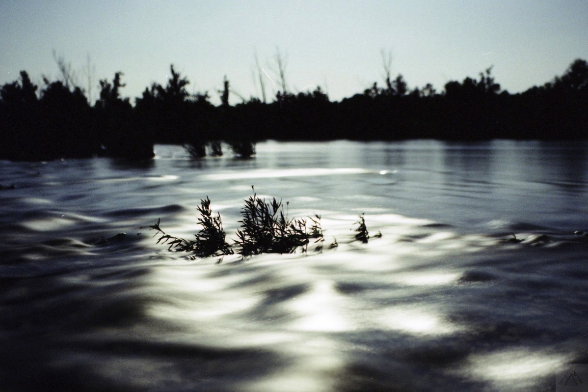 Stacks Image 61